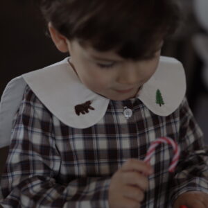 Cămașă în carouri cu broderie de iarnă