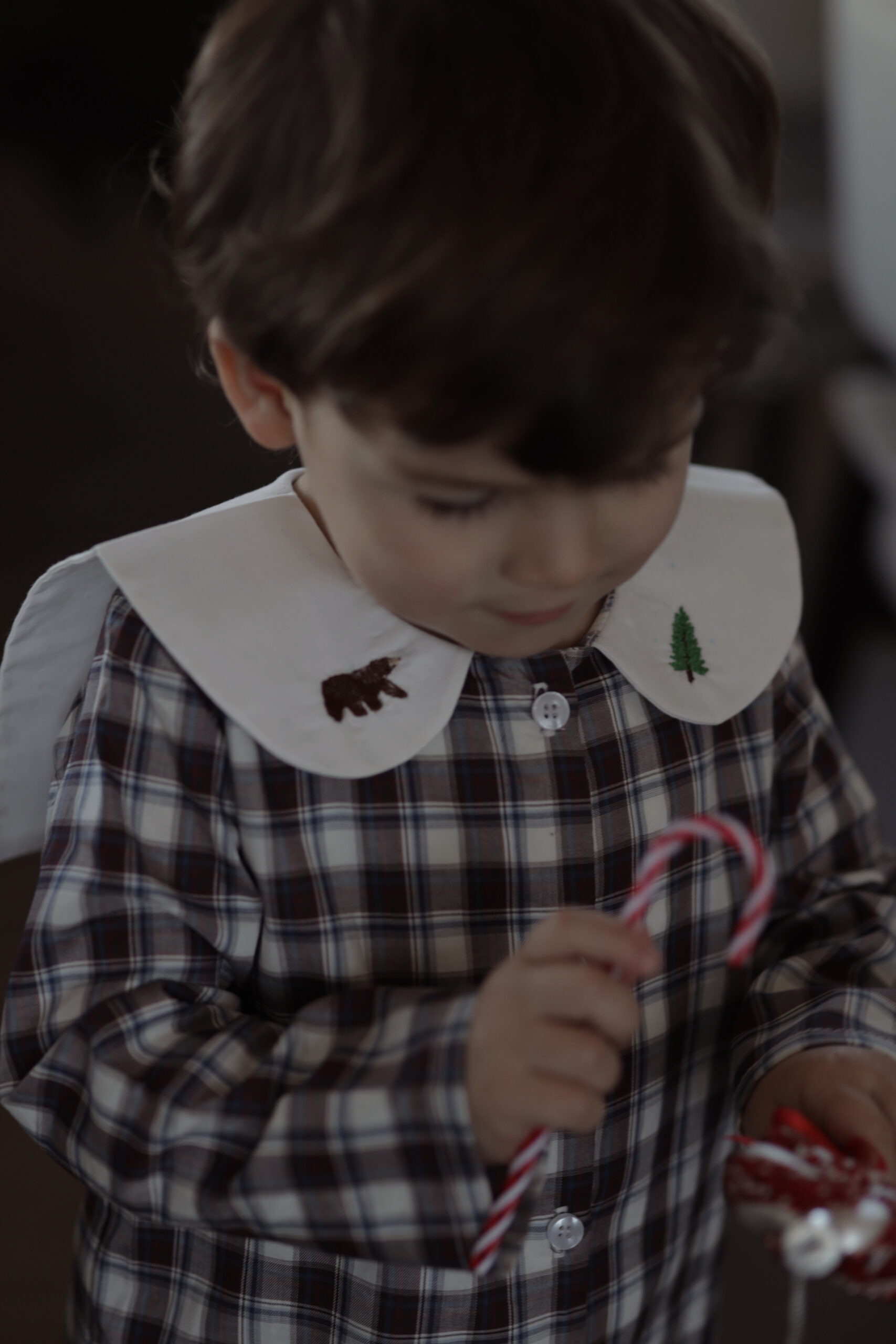 Cămașă în carouri cu broderie de iarnă